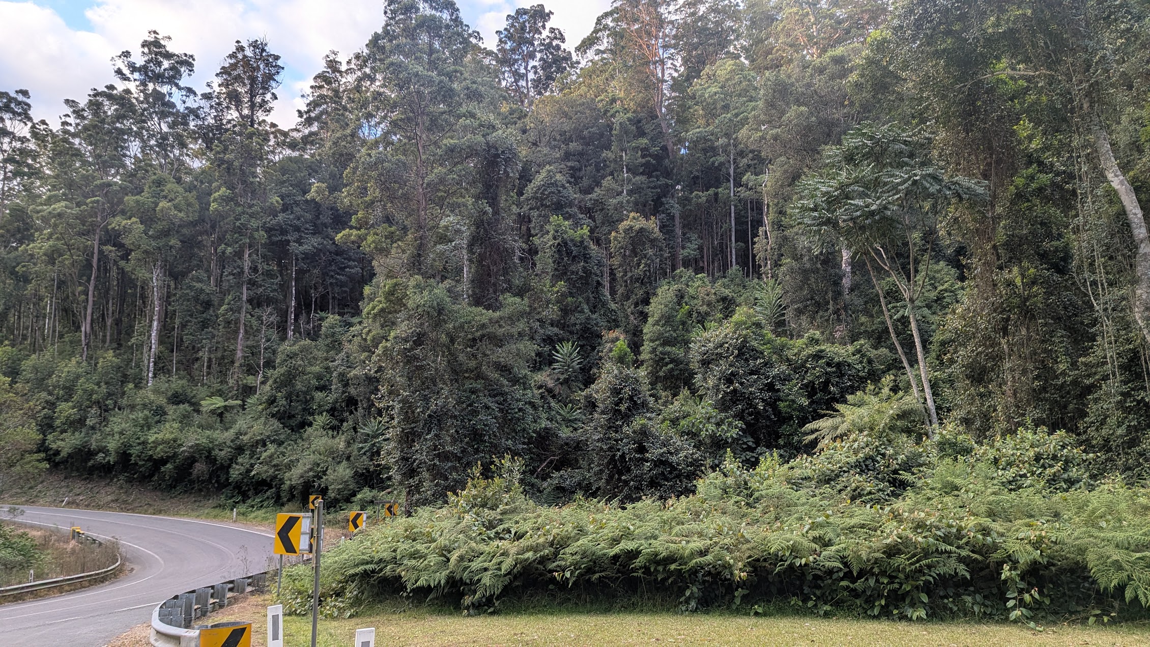 Oxley Highway, NSW.